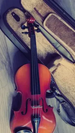 2026年最新】バイオリン SUZUKI 280の人気アイテム - メルカリ