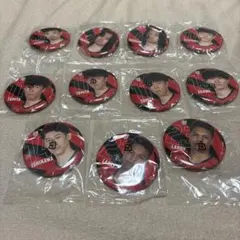 バレーボール　缶バッジ　日本代表　男子　11個セット