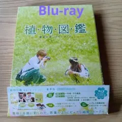 植物図鑑 運命の恋,ひろいました 豪華版('16松竹/ホリプロ/LDH/幻冬舎
