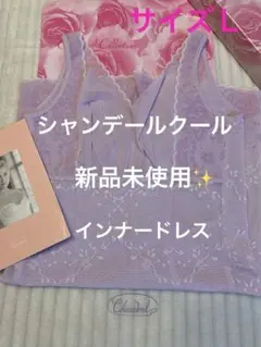 2025年最新】シャンデール インナードレスの人気アイテム - メルカリ