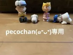 pecochan(๑˃̵ᴗ˂̵)様 専用ページスヌーピー フィギュアセット