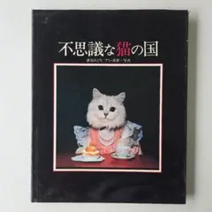 不思議な猫の国 / Wonderful Cat's Land