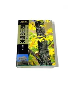 Item thumbnail for item 9c7877a5-e675-4f34-963a-2628dea5cc1c