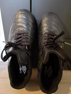 Item thumbnail for item 981390d8-1647-446d-9b85-8786ef6bcca6