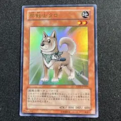 2025年最新】柴戦士タロの人気アイテム - メルカリ