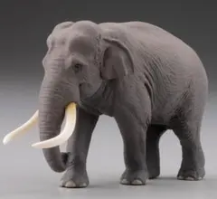 カプセルQ WILD RUSH 真・世界動物誌Ⅳ ～アジア・熱帯編～　アジアゾウ