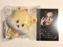 超特急　カイ　生誕　カカ　ポストカード