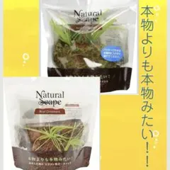 さくら様 リクエスト 4点 まとめ商品