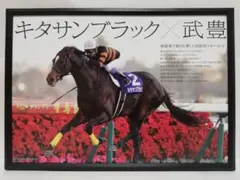 競馬 キタサンブラック パネル 心に刻まれた名コンビ