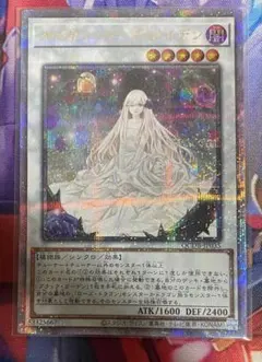 2026年最新】ガーデン・ローズ・メイデン 25thの人気アイテム - メルカリ