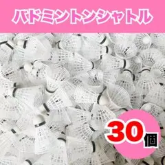 Item thumbnail for item 0e75ffa5-381d-47a1-8add-c7f1a79532f7