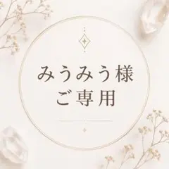 みうみう様ご専用、誠に有難う御座います❣️