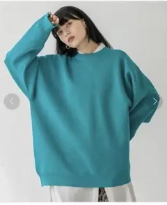 【ジーナシス】 ジャガード　ボリュームスリーブ　プルオーバー