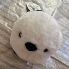 Item thumbnail for item b73fce34-98aa-494b-81d2-f170a1a5a44e