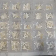 サメの歯　100個セット