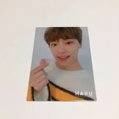 SEVENTEEN HARU ディノ トレカ
