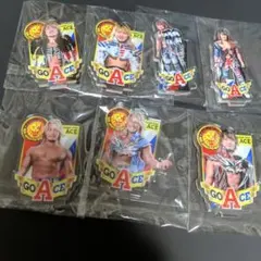 棚橋弘至 スポーツ選手