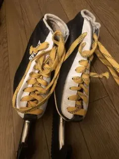 Item thumbnail for item d1009ac9-aa76-467f-82b7-7f3ecf447975