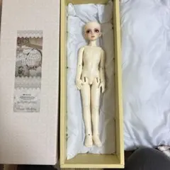 ボークス コーディネートモデル61番男の子ホワイト