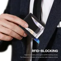 Item thumbnail for item 95104a8a-4ee7-4cee-8ff0-8b4ea829edd4