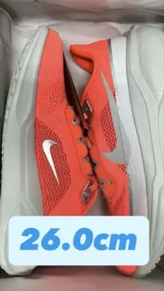 【最終値下げ！】NIKE ペガサス41 PRM 26.0cm