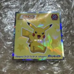 入手困難】スカイマーク ピカチュウジェット 搭乗記念メダル（新品未