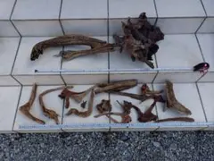 流木セット　引取り限定