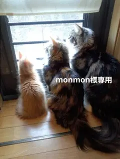 monmon様専用です♪︎お取り置き