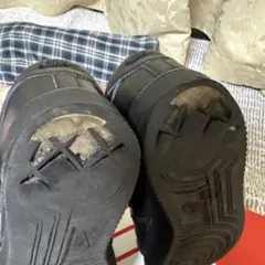 Item thumbnail for item d46a7d8e-0b2d-481b-b505-4476457e0bcc