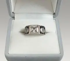 Item thumbnail for item 8230a7fe-f093-4443-8a45-701085654c26