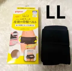 Item thumbnail for item 49c68c4a-77e3-49d0-9365-9a12565b61c0