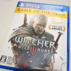 THE WITCHER 3: WILDHUNT