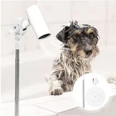 Item thumbnail for item 419db324-b022-45ae-af2d-953eac6f4e6d