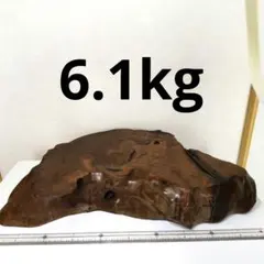 Item thumbnail for item 77dd1c3b-386b-41ed-84e8-4605dbc4b1e4