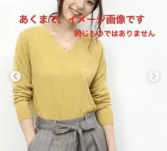 ROPÉ PICNIC Vネックニット 38