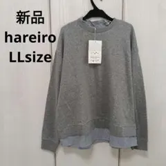 Item thumbnail for item 8b75c1ac-3c54-4272-ad2e-e6861707a0a9