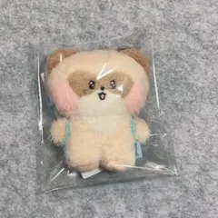 ゼベワン ジャンハオ ハニニ フラットぬいぐるみ zeroni ゼロニ 公式