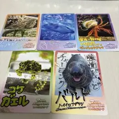 鳥羽水族館　コレクションカード　5枚