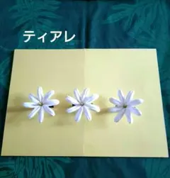 タヒチ ティアレ ③ タヒチアンダンス 髪飾り クリップ 3点セット