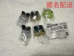 たまごっち　カラフルキャンディチャーム