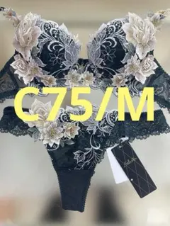 2025年最新】ワコールサルート09グループの人気アイテム - メルカリ