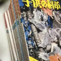 Item thumbnail for item 9015d61f-0138-4969-abcd-f1907300390f