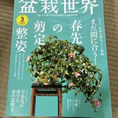 盆栽世界 18冊セット 盆栽世界 18冊 ＋ その他盆栽 雑誌・本セット - メルカリ