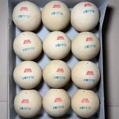 ソフトテニス テニスボール