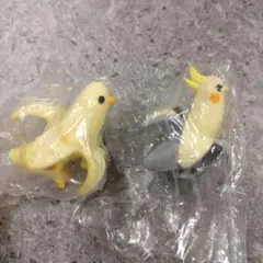 2026年最新】バナナインコの人気アイテム - メルカリ