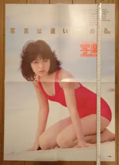 激レア　浜田朱里　写楽告知ポスター　未使用 2025年最新】写楽 浜田朱里の人気アイテム - メルカリ