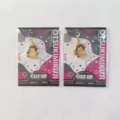 VAZZROCK COT部 おつきみくじ チャーム 大黒岳賞 2点