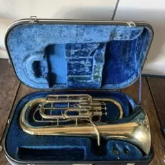 Item thumbnail for item 0676f8de-424a-48e7-8dbb-fcf4707c9565