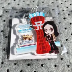 浜崎あゆみ 新品未開封 4月25日 神戸ワールド限定 アクリル