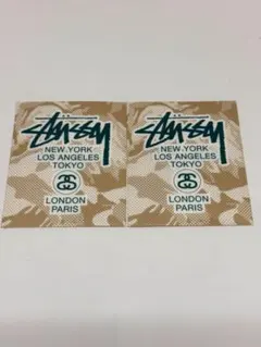 STUSSY ワールドツアー迷彩柄ステッカー